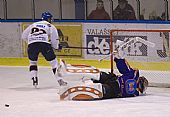 Sám postižený se chopil realizace, ale Holeš, nevěda jak, bránu Drtičů uchránil od pohromy. | autor: Marek Netolička
